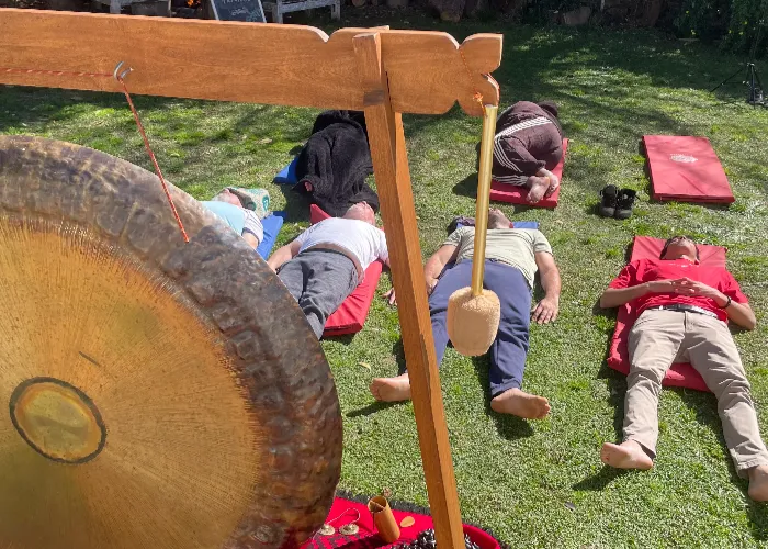 Terapia de sonido con gong y cuencos armónicos para el bienestar vibracional