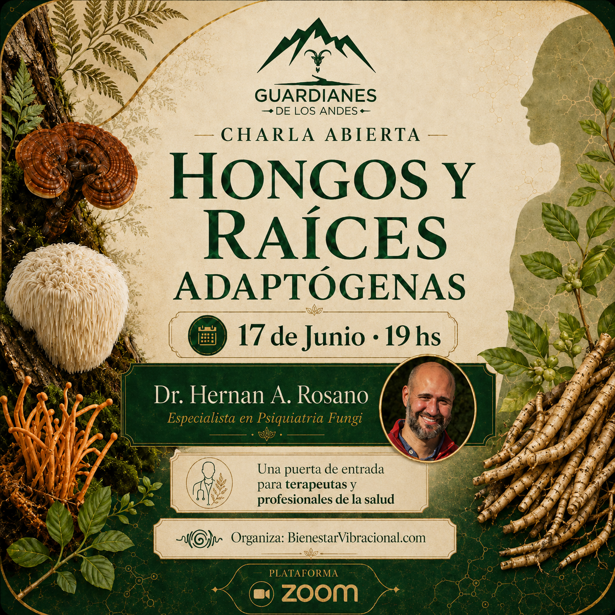 charla abierta sobre hongos y raices adaptogenos salud integrativa